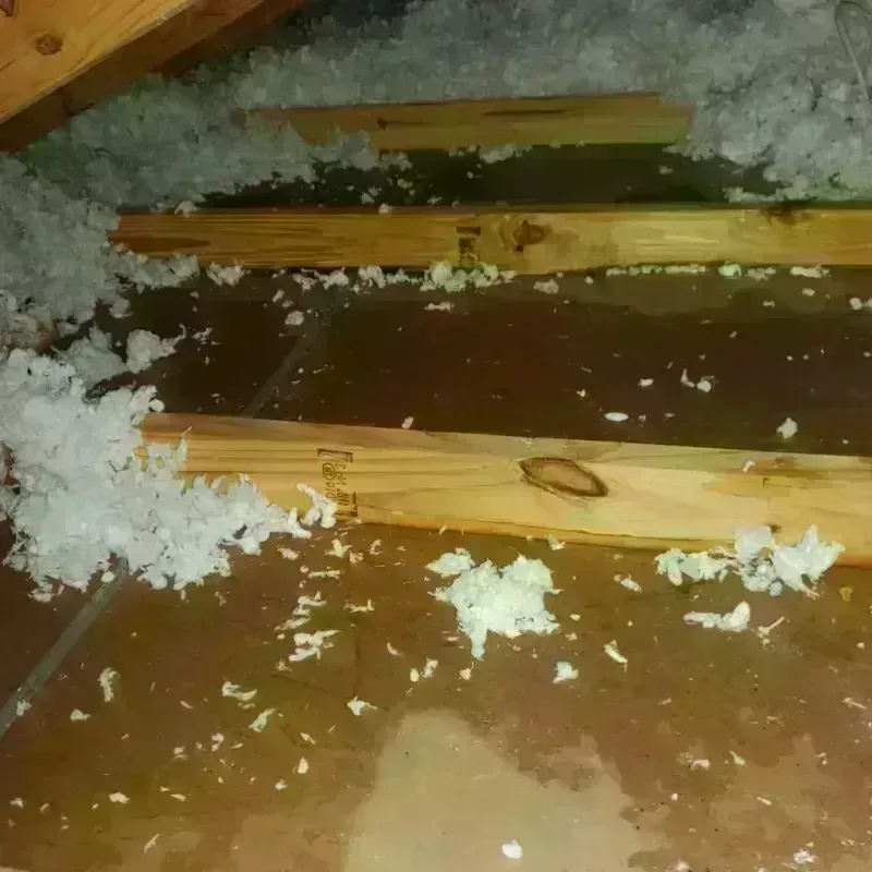 Attic Water Damage in East La Mirada, CA