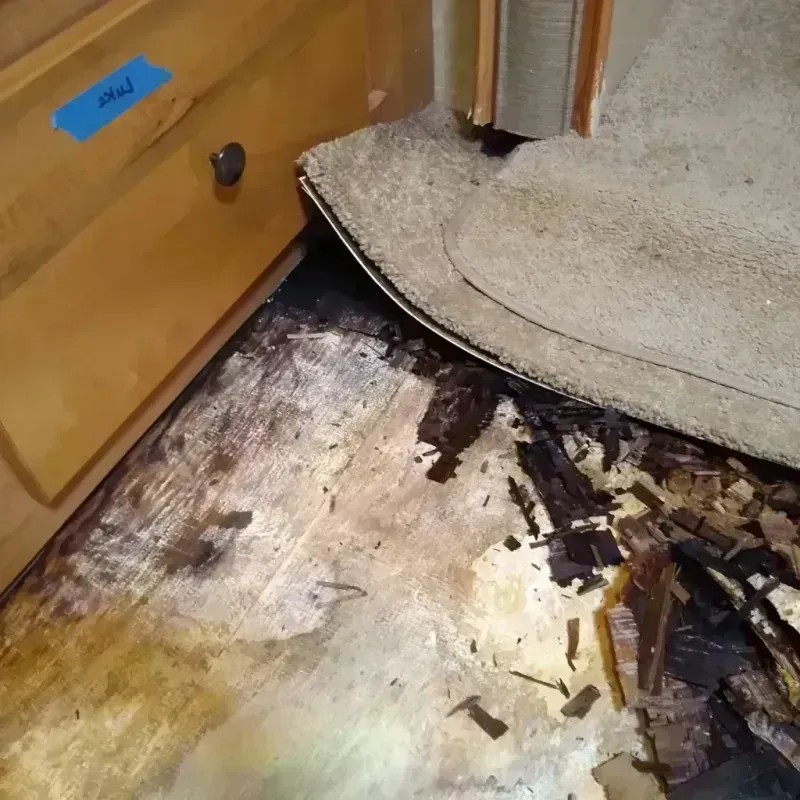 Best Wood Floor Water Damage Service in East La Mirada, CA